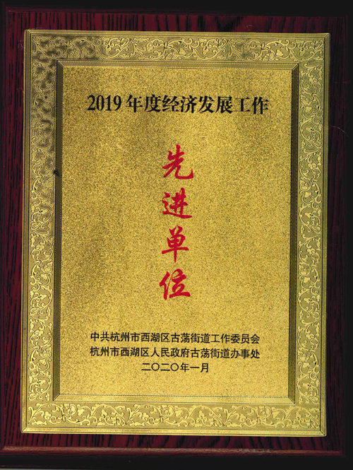 杭州競達(dá)榮獲2019年度經(jīng)濟發(fā)展工作先進單位獎牌